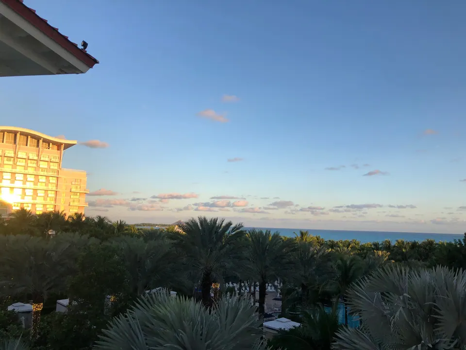 Early-morning view over a sea of palm tops to the ocean horizon, a tall hotel tower lit gold by the first sun on the left.