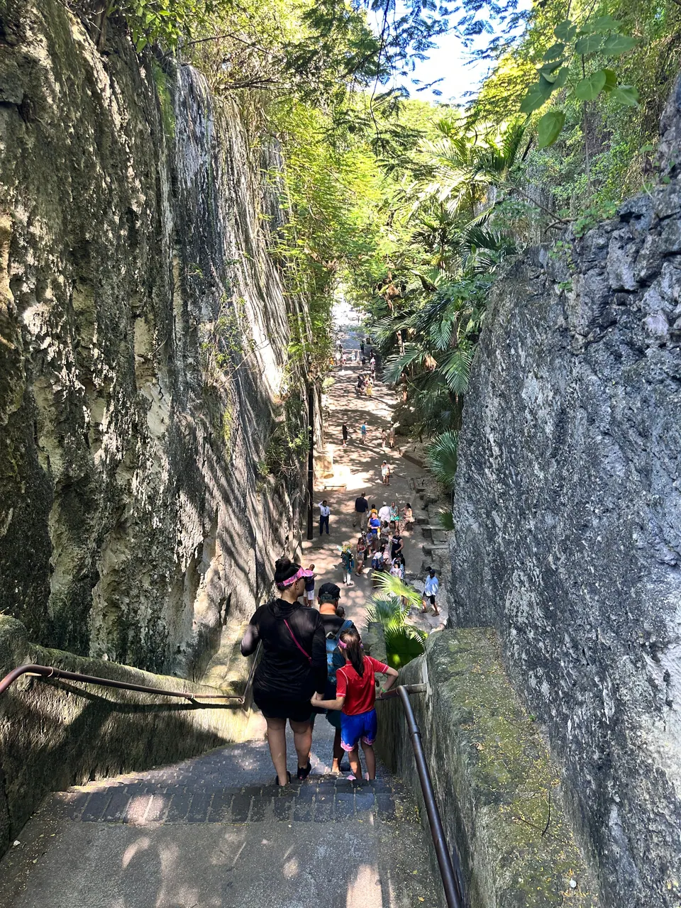 Looking down a narrow gorge between sheer carved limestone walls hung with vines, a few visitors climb the stone path in dappled sunlight.