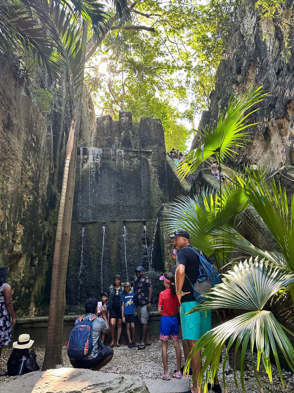At a bend in a gorge, a tall stone wall with narrow vertical channels rises above palm fronds and a small crowd of visitors at its foot.
