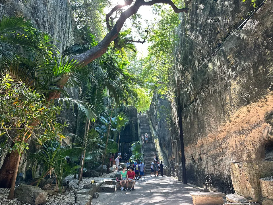 A shaded path runs between sheer carved limestone walls draped with vines and palms, with steps and small figures of visitors at the far end.