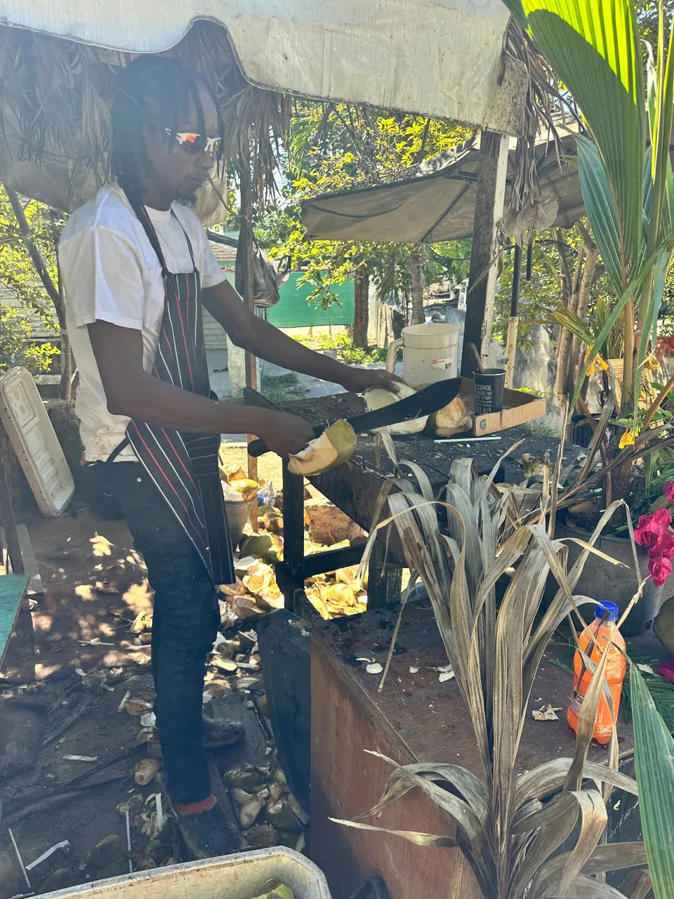 A vendor in an apron and white shirt cuts open coconuts with a machete at a stand under a thatch awning, among pineapple plants and coconut husks.