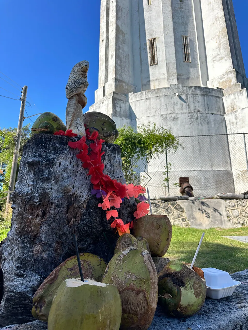 A tree stump draped with a red flower lei holds a heap of fresh green coconuts, the white water tower rising behind against the blue sky.