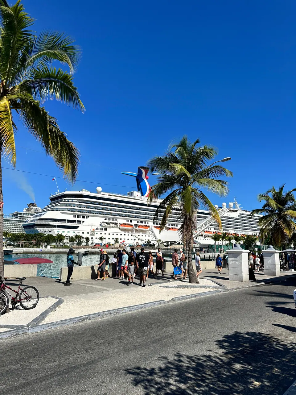 A large white cruise ship is docked behind two palms at the end of a sunny street, with tourists walking along the waterfront and a bicycle propped at the kerb.