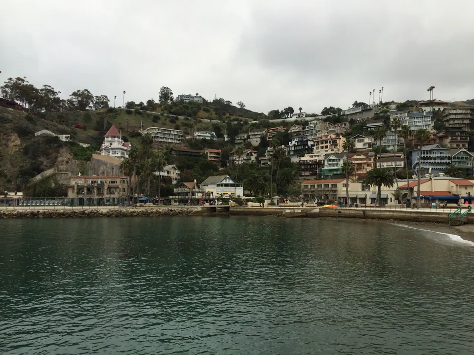 Across green water, a row of buildings and palms at the shore with terraced houses climbing a hillside under a gray sky.