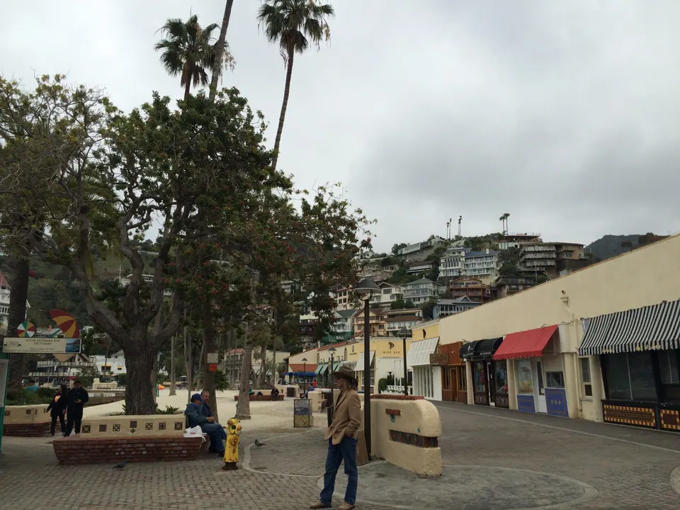 A wide paved plaza behind a beach with a leafy tree, low shops with red and striped awnings, and houses on the hillside beyond.
