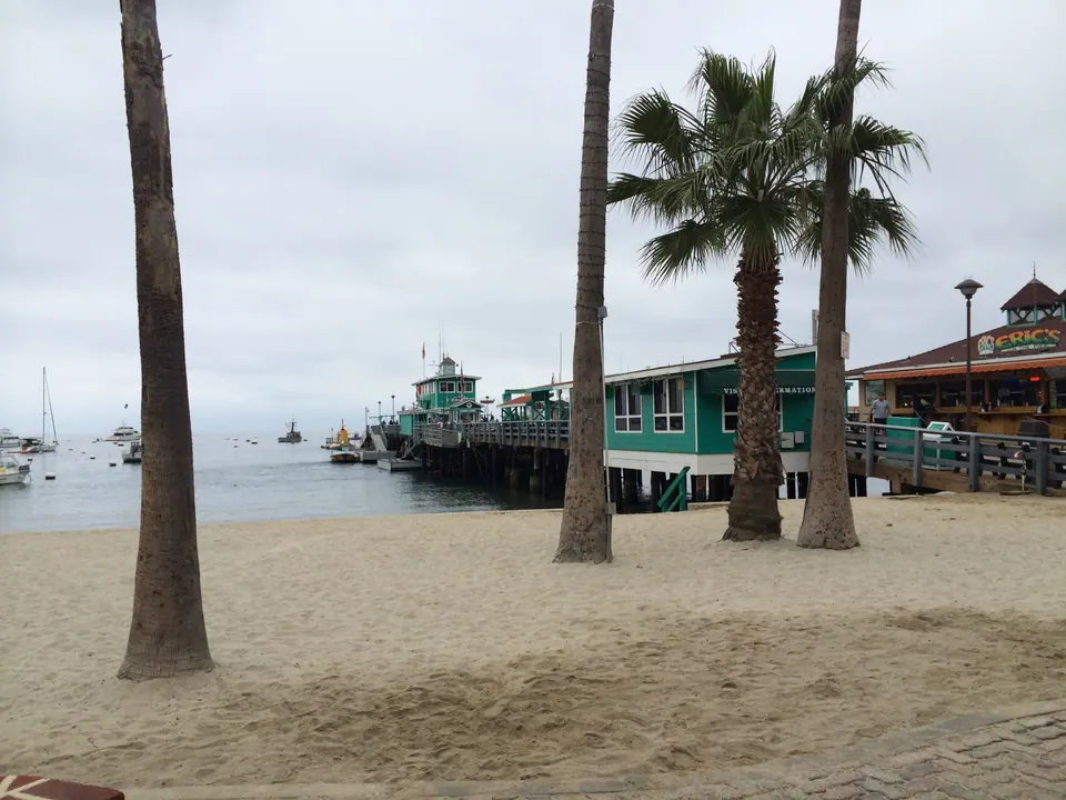 Tall palm trunks on empty sand, with the teal-painted buildings of a pier and moored boats beyond under a low gray sky.