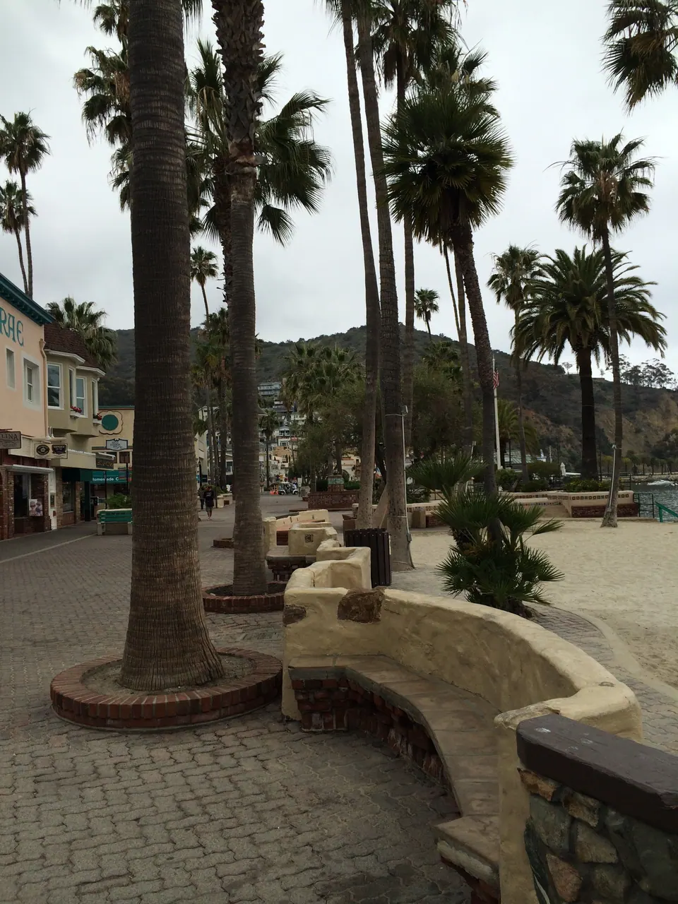 A brick-paved promenade with a curving stucco bench under tall palms, and a hill with houses at the end of the street.