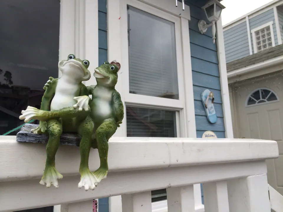 Two green frog figurines sit side by side on the white railing of a blue-painted house porch.