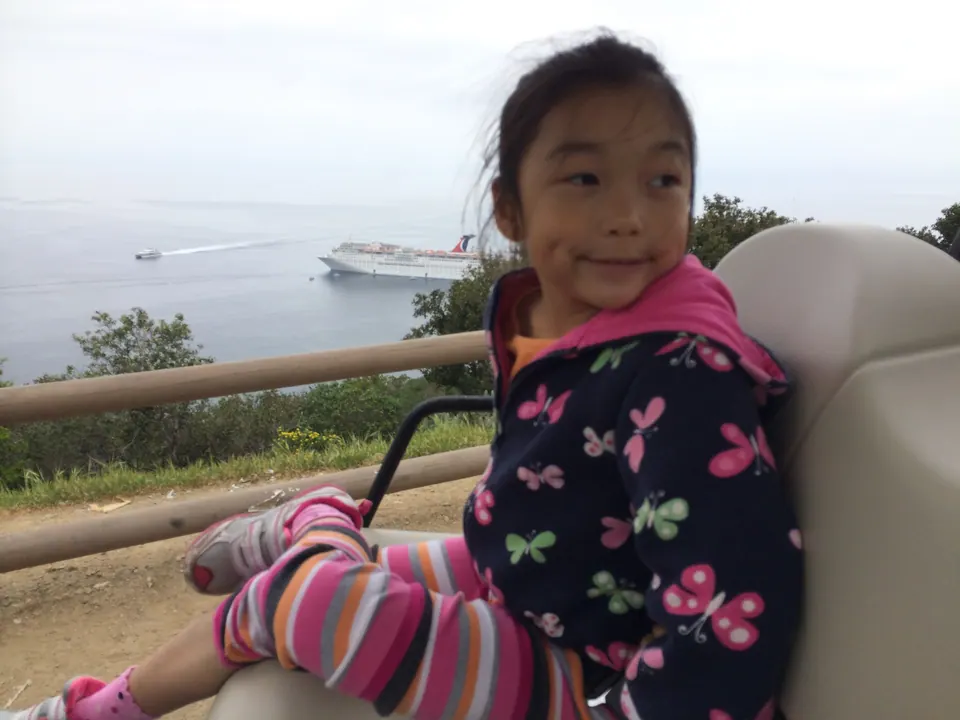 A girl with windblown hair looks back over her shoulder from a golf cart, a wooden rail, scrub and a small ship on the sea behind her.