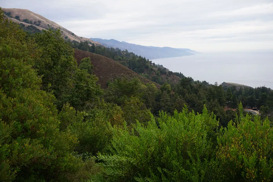 Green wooded slopes above the sea, with the Big Sur coastline receding into haze under a grey sky.