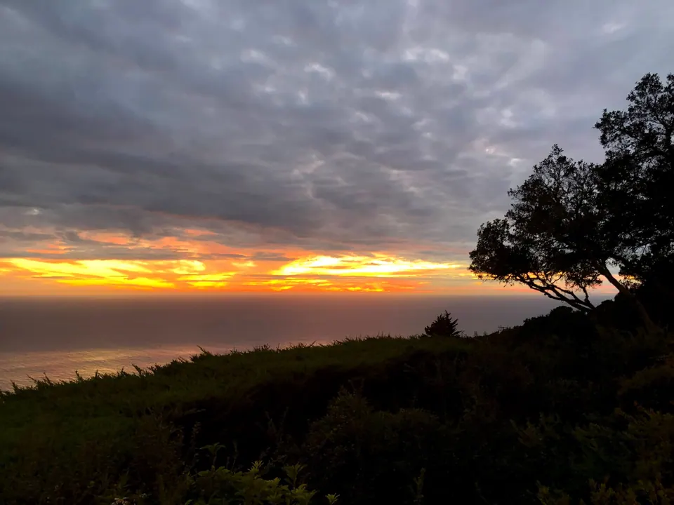 A band of gold and orange sunset glows under layered grey clouds over the Pacific, with an oak tree in silhouette on the bluff at the right.