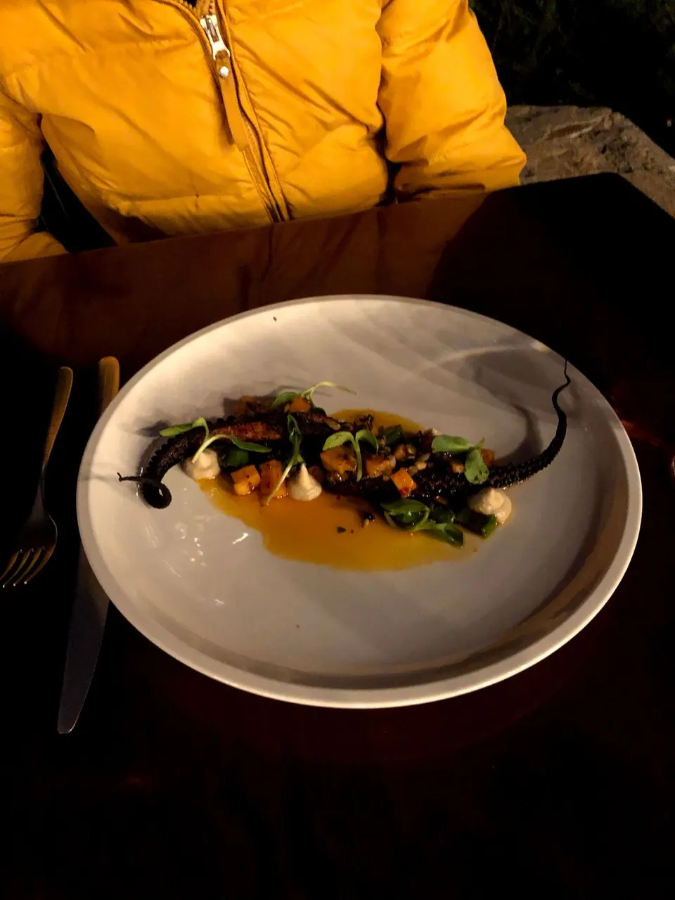 A white plate holding dark grilled octopus tentacle with small greens and an orange sauce.
