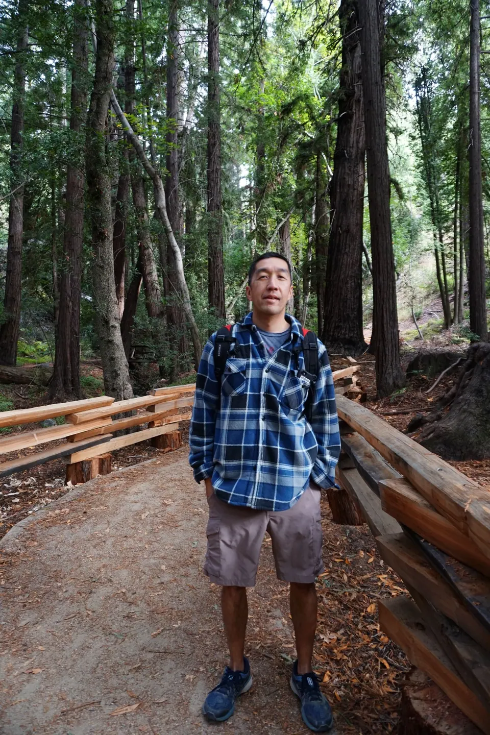 A man in a blue plaid shirt and daypack stands on a wide dirt trail beside a new wooden railing among tall redwoods.