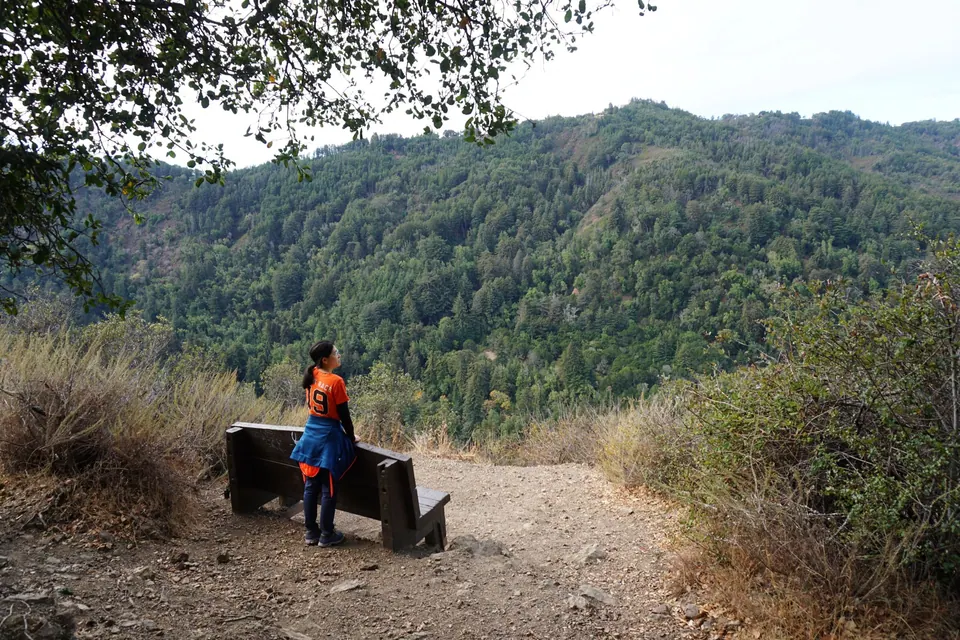 A woman in an orange top sits on a wooden bench on a dirt clearing looking across a steep forested canyon.