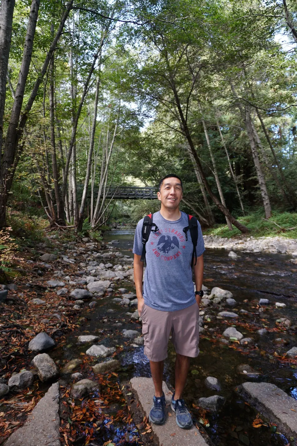 A man in a gray T-shirt and daypack stands on stepping stones in a creek among tall thin trees.