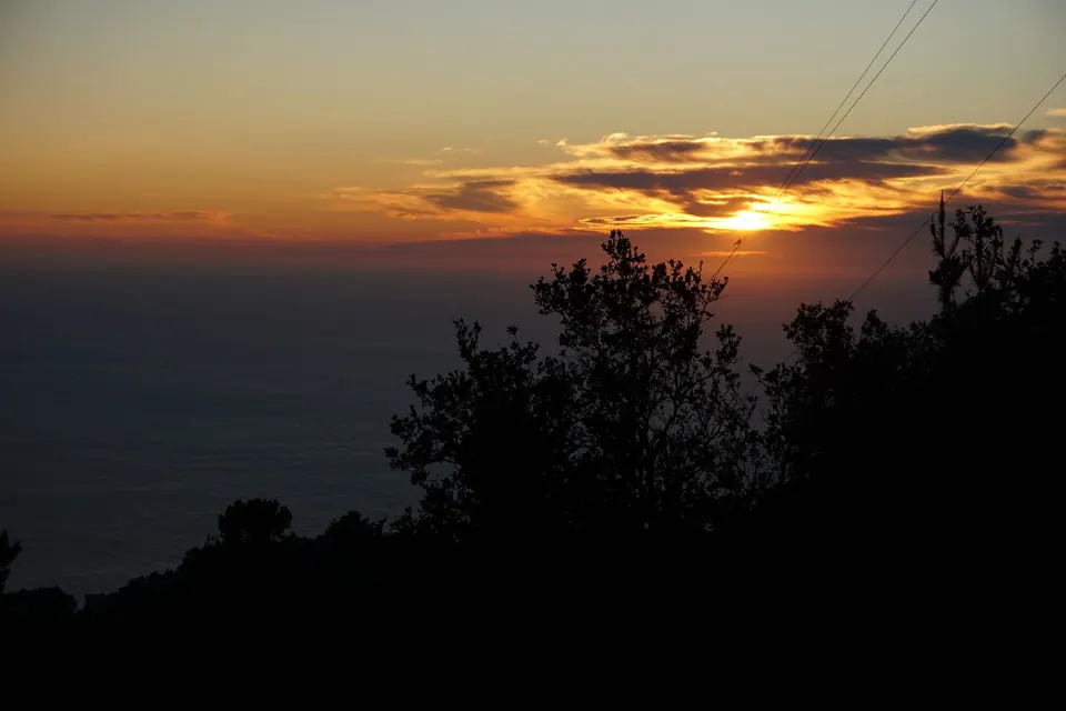 The sun sinks into a band of cloud over the sea, dark trees in front.