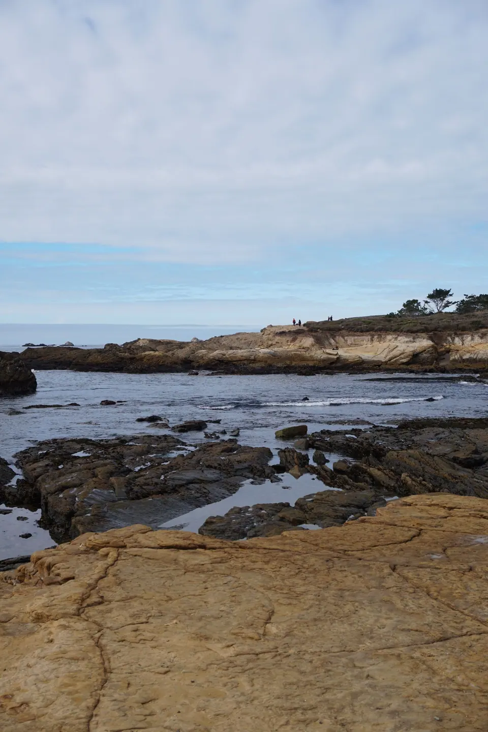 A rocky shore of sandstone shelves and tide pools under a grey sky.