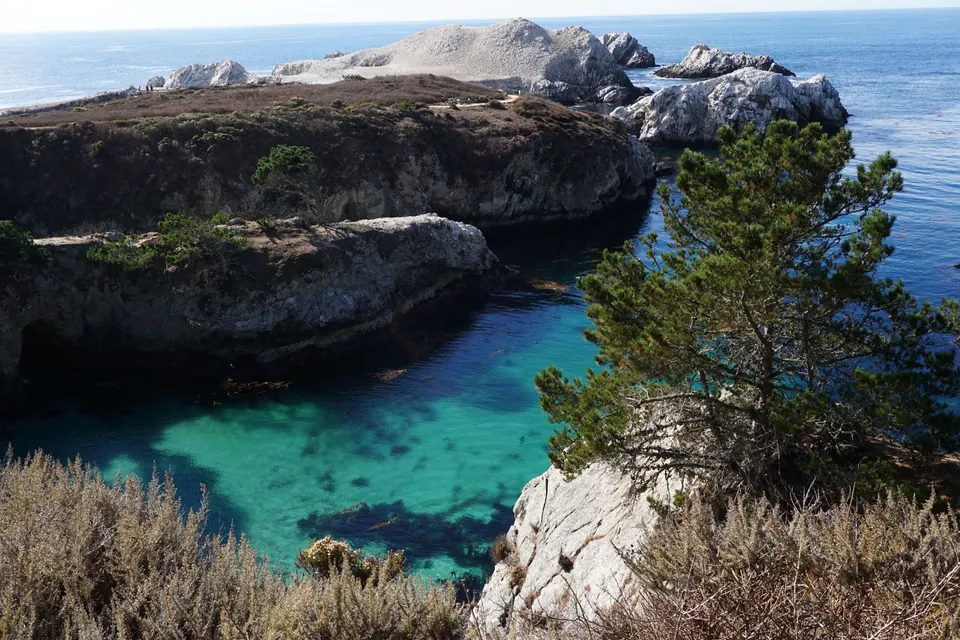 Clear green-blue water in a cove below a pine, with rocks beyond in the blue sea.