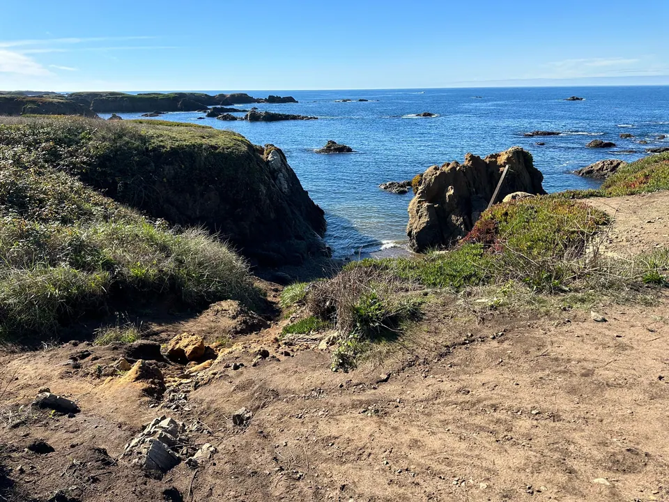 A small blue cove between rocky walls, a leaning wooden post on a rock and green ice plant in the foreground.