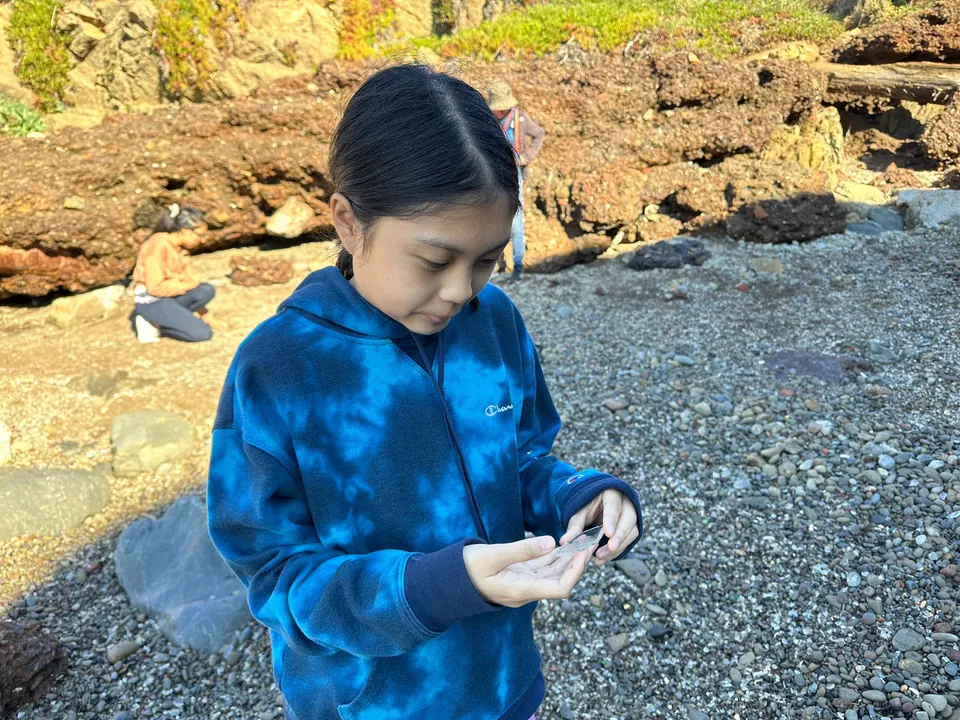A girl in a blue tie-dye hoodie looks down at something small in her hand on a pebbly beach.