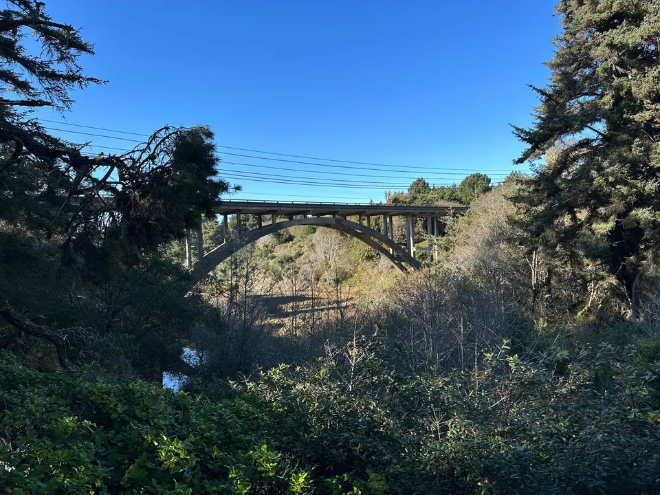 A concrete arch bridge crosses a wooded gully under a blue sky, framed by spruce branches.