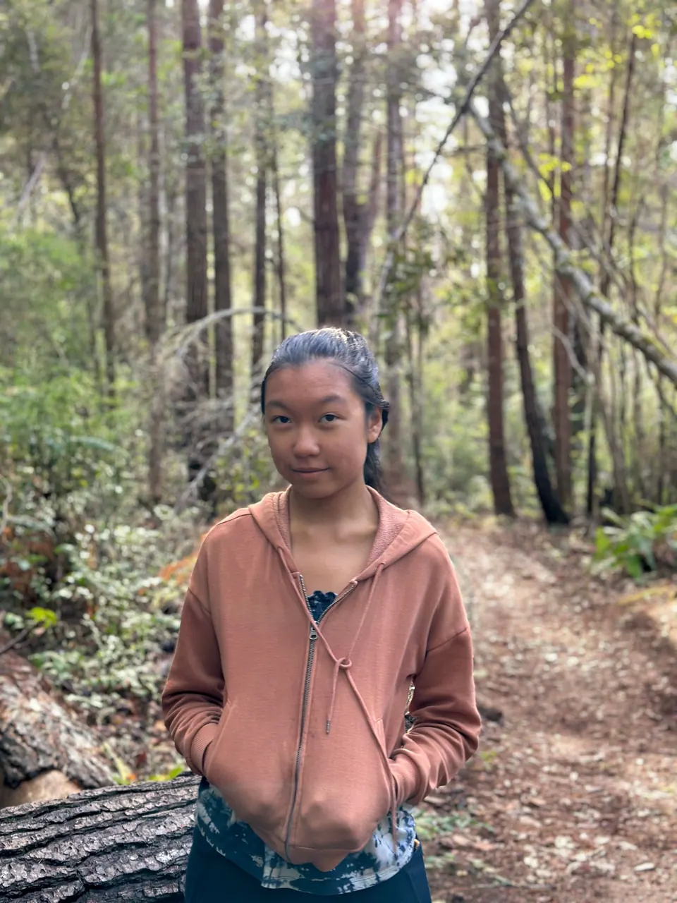 A girl in a brown hoodie stands on a forest trail, ferns and a fallen log behind her and tall trunks all around.