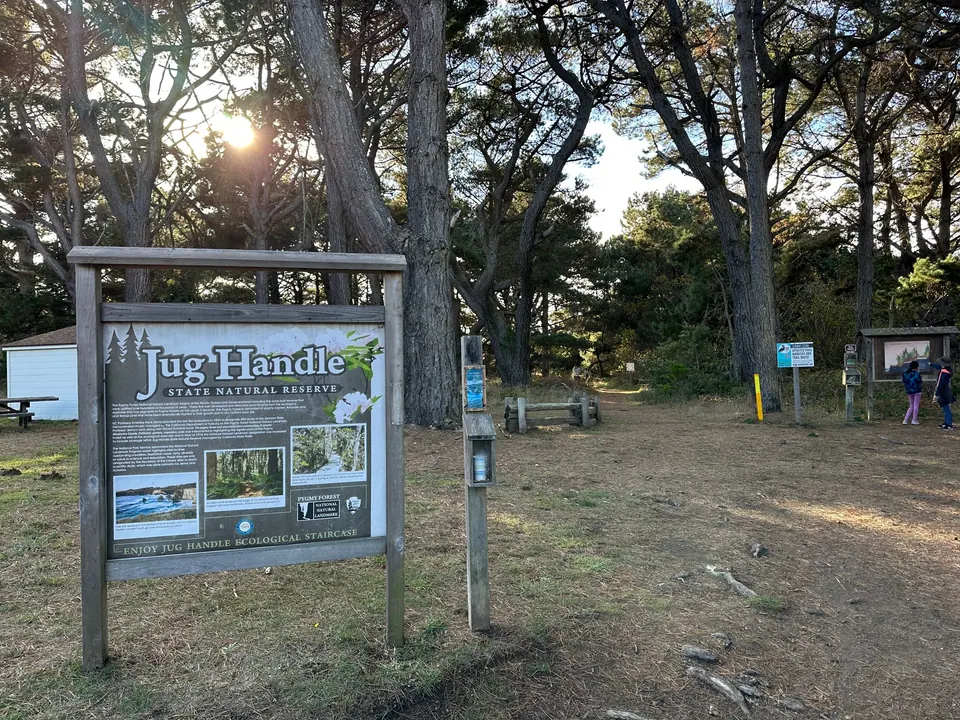 A brown wooden sign reading Jug Handle State Natural Reserve stands at a trailhead under cypress in low sun.