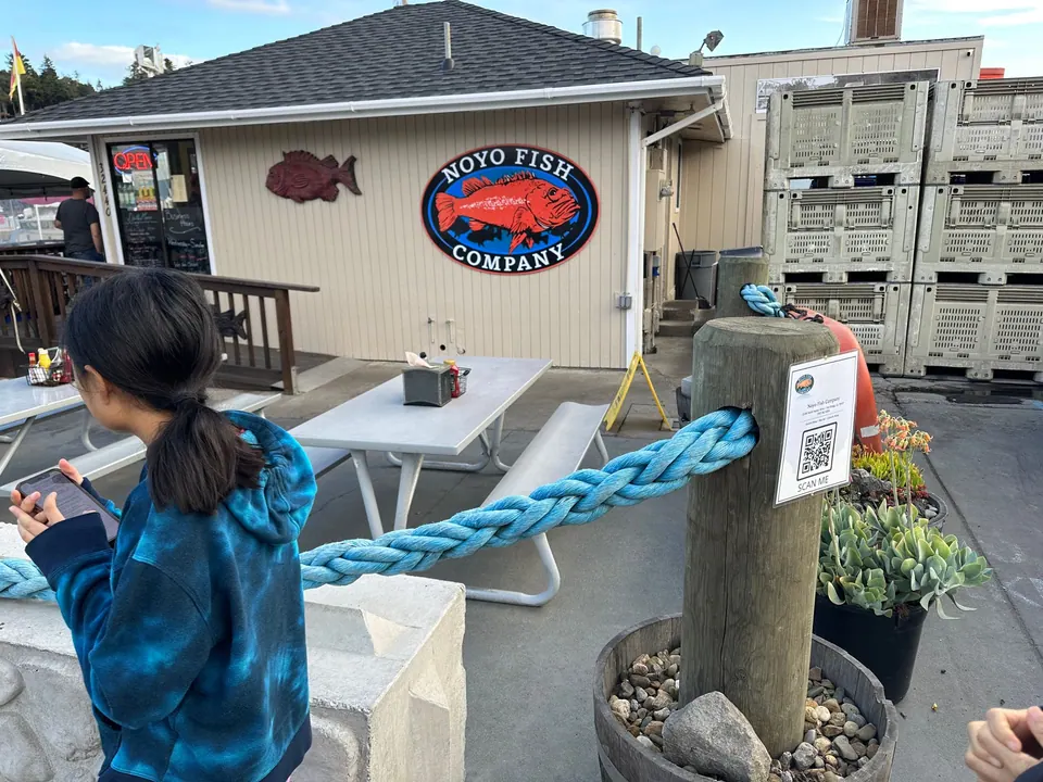 A girl in a blue tie-dye hoodie looks at her phone on a deck with picnic tables, a red rockfish sign on the wall above.