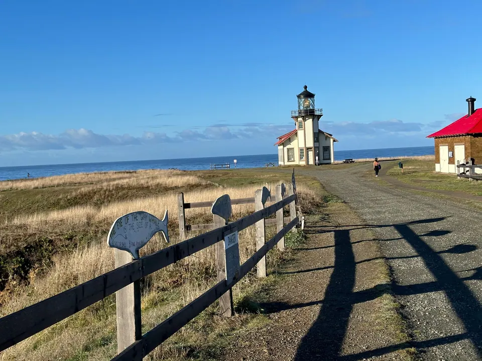A small white lighthouse with a red-roofed outbuilding at the end of a gravel road, a gray wooden fence with fish-shaped signs in the foreground and the Pacific behind.