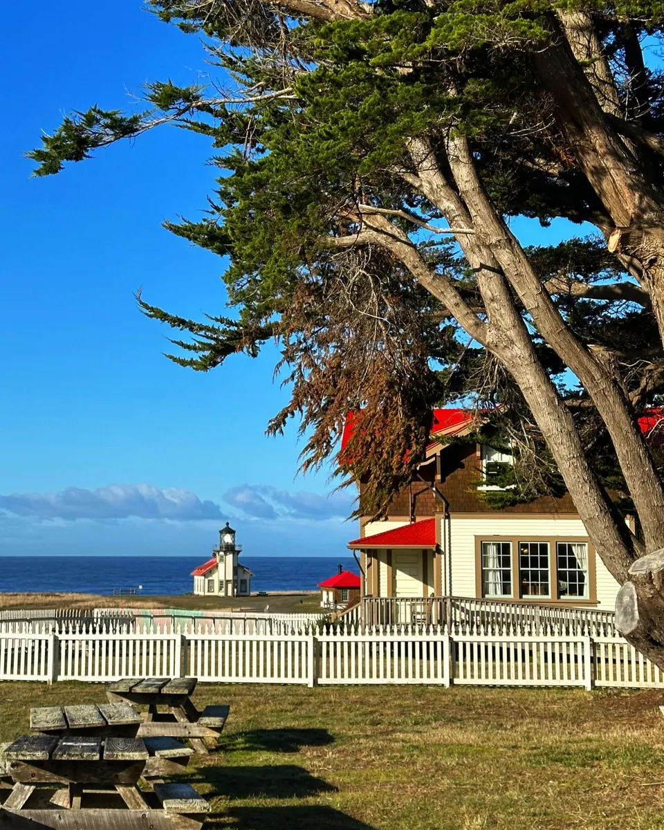 Red-roofed white houses among wind-bent cypress with the sea and the small lighthouse beyond.