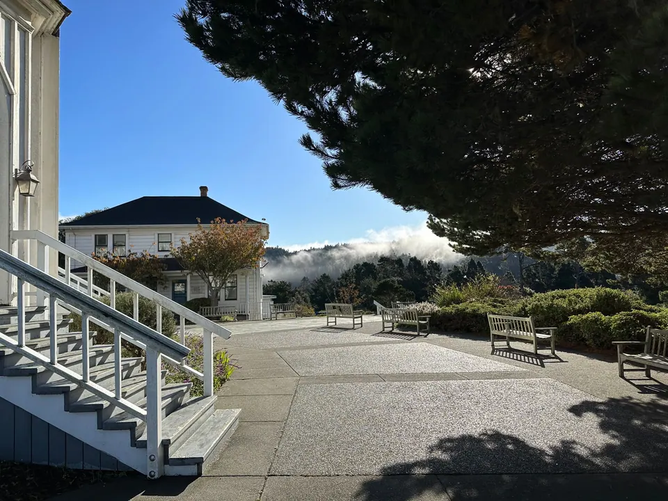 White steps and a railing beside a big pine tree, a house with a dark roof and a bank of low fog behind it.
