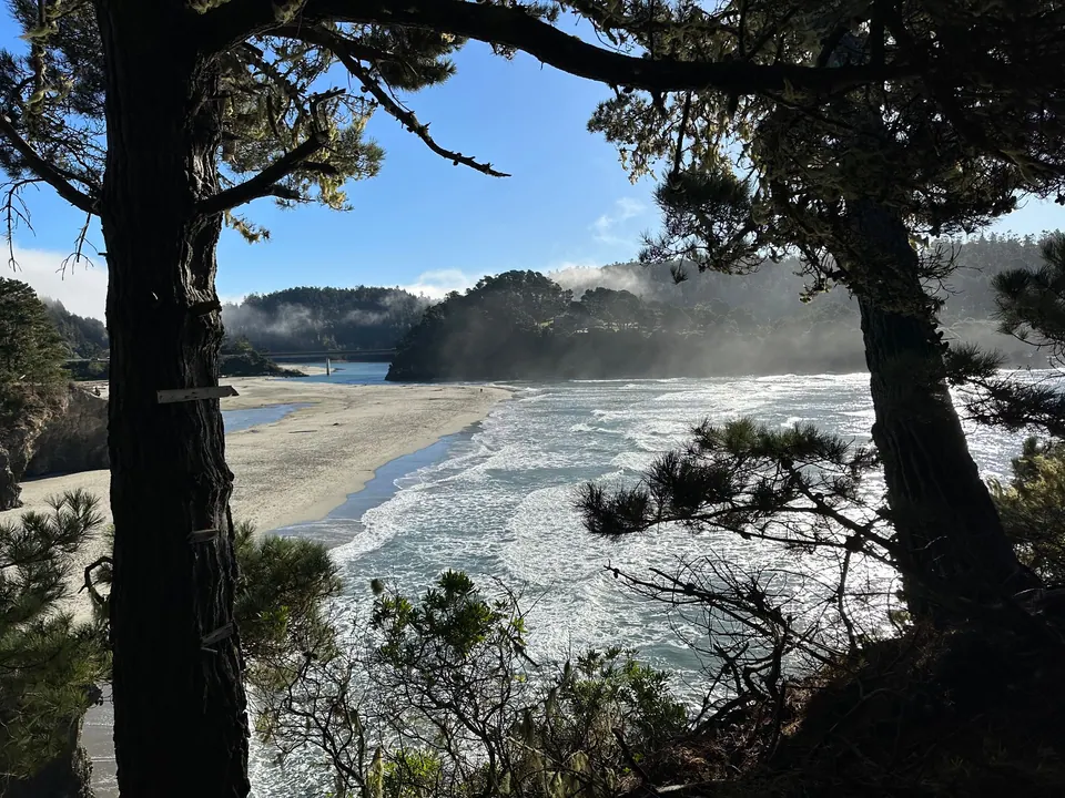 A wide sandy beach and river mouth under a fog bank, with surf sweeping in, framed by dark pine trunks.