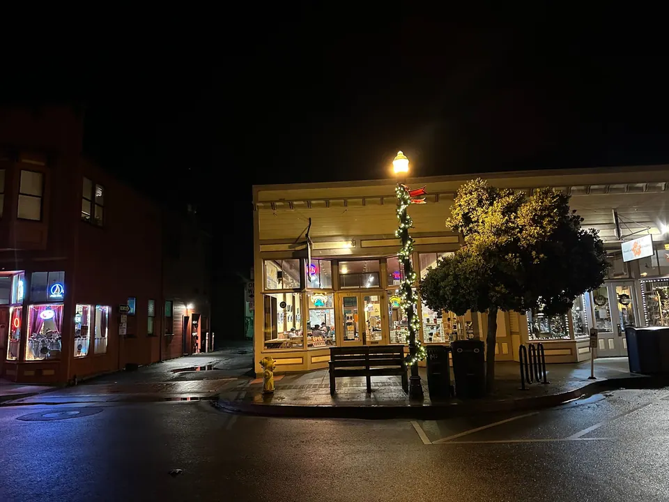 A night street of lit storefronts and a red traffic light on wet pavement.