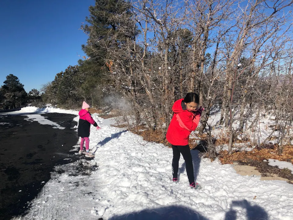 Two girls in red and pink coats throw snowballs by the plowed edge of a road under bare oaks and pines.
