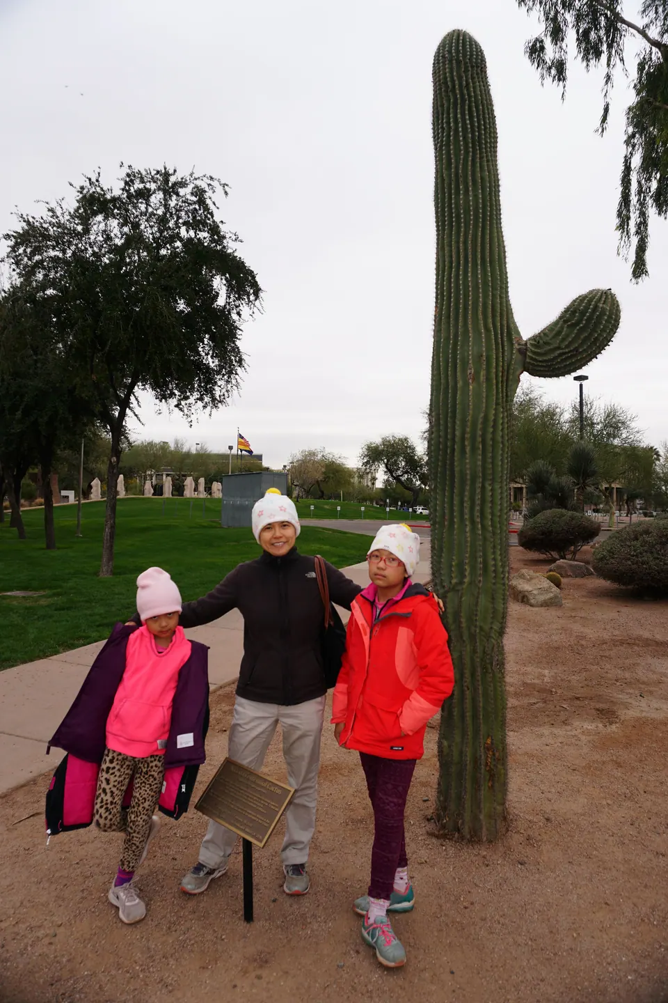 A woman and two girls stand under a tall saguaro cactus with one arm, on a path beside a lawn on a grey day, an Arizona flag in the distance.