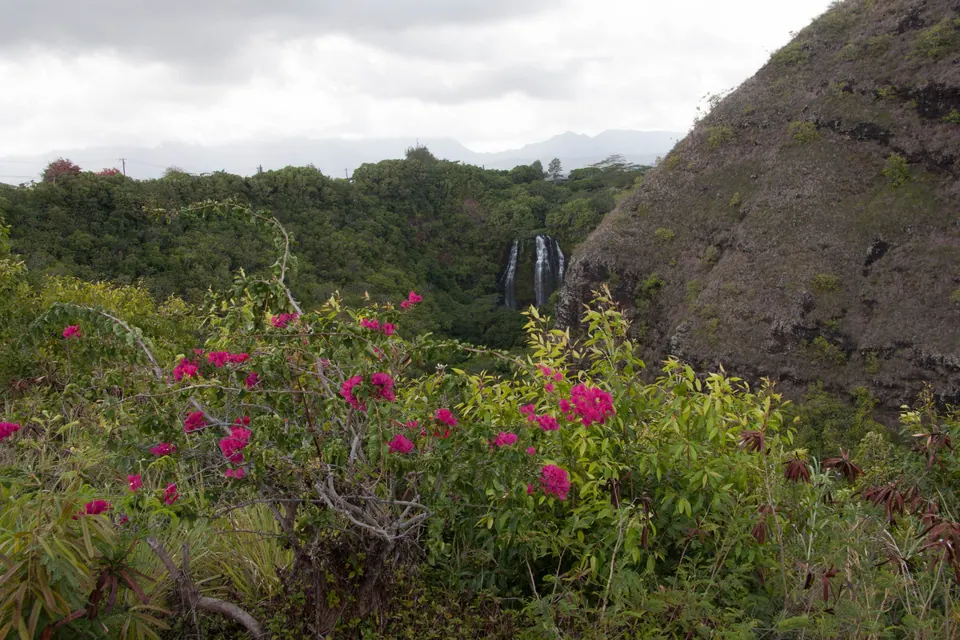 A wider view of twin falls far off in a green gorge, a rocky brown hill at right and pink and purple bougainvillea in the foreground.