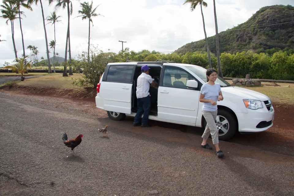 The white rented minivan parked on red dirt with its side door open, a man in a purple cap beside it and a woman walking toward the camera; chickens peck in the foreground.