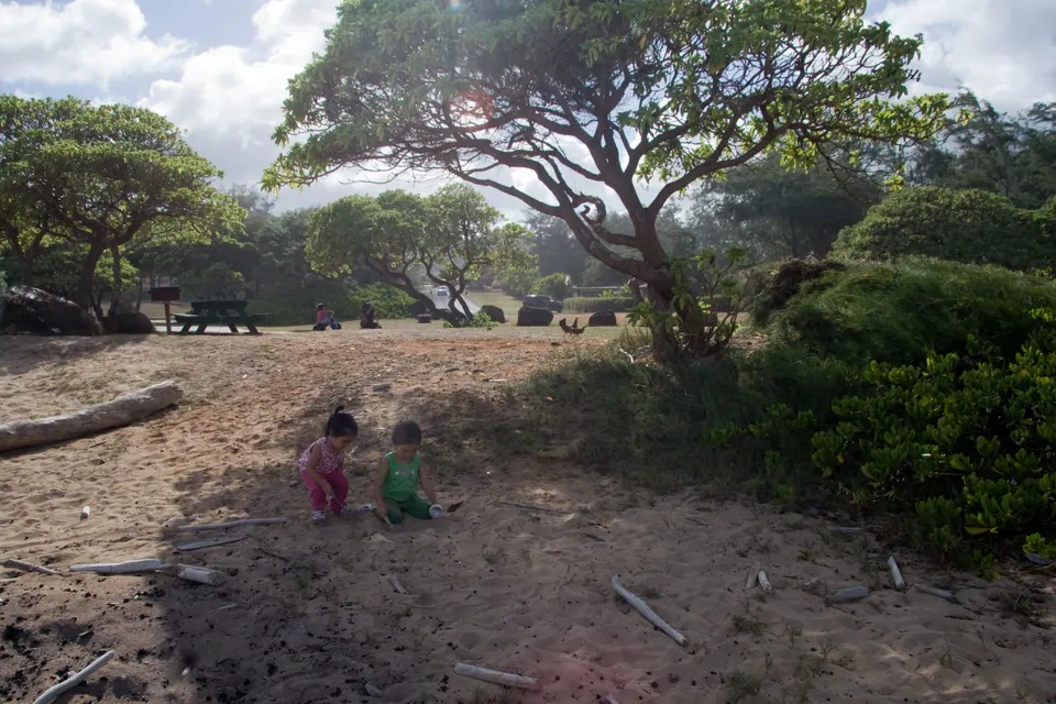 Two small girls in pink and green play in the pale sand beneath spreading ironwood trees; a picnic area is behind them.