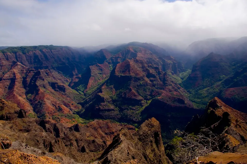 Layered red and green ridges of a deep canyon, with low white cloud spilling over the far rim.