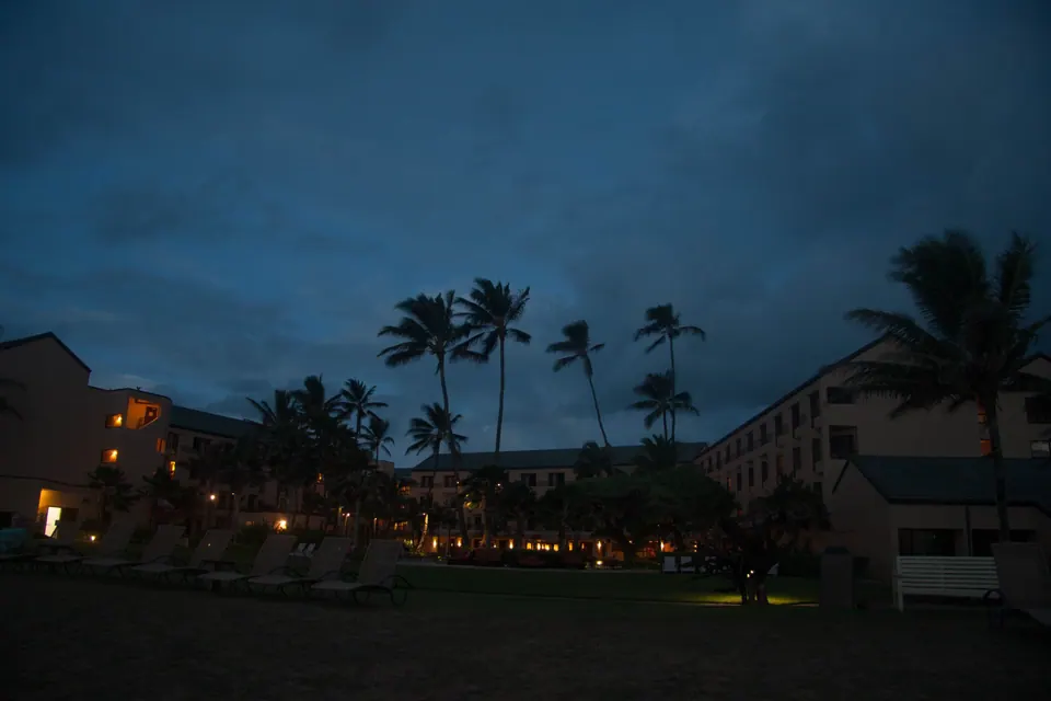 A long exposure of palms silhouetted against a dark sky in front of the lit hotel wings.