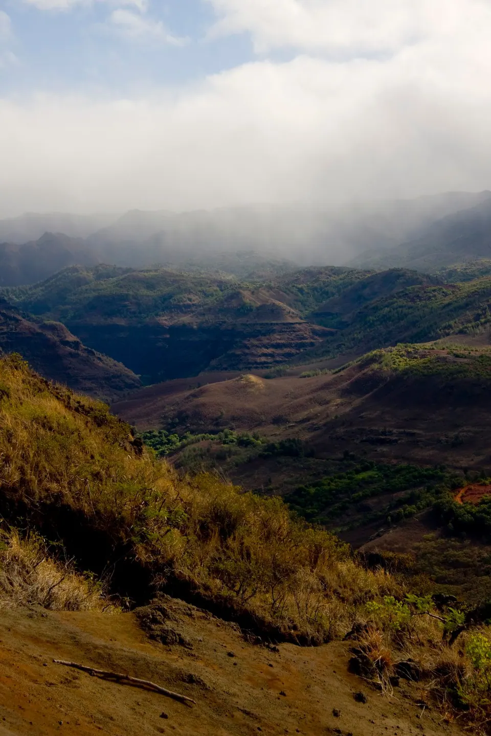 A view down a golden-grass slope into the shadowed canyon, cloud lifting over the rim.