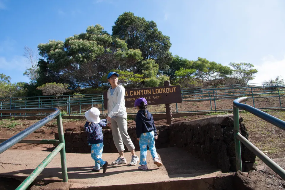 An adult and two small girls in blue walk toward the wooden lookout sign past a green railing and a big shade tree under blue sky.
