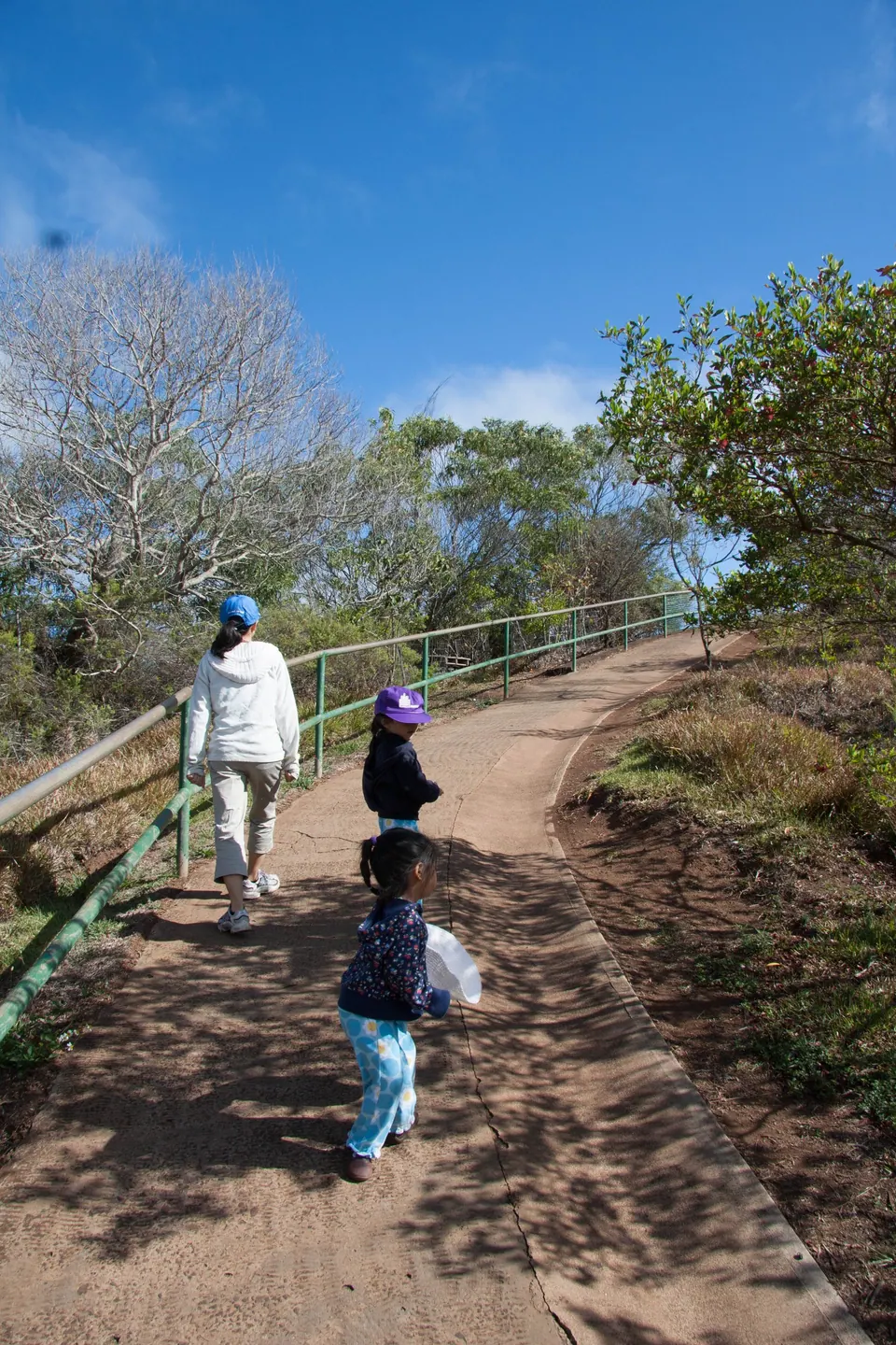 A dirt path lined with a green railing and trees, an adult and two small girls in blue walking along it.