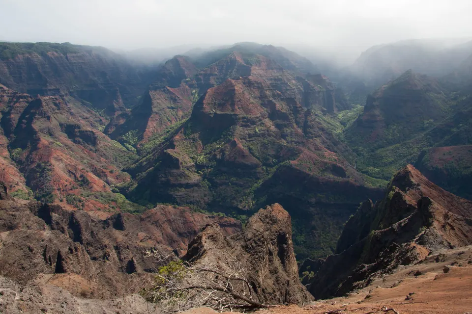 A wide view of the canyon with layered red-brown ridges and green gullies, cloud drifting over the rim.