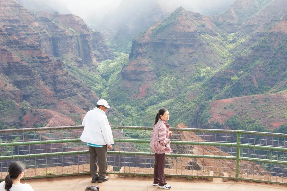 An older man in a white jacket and a woman in a pink cardigan stand at a green railing looking out over a deep green canyon.