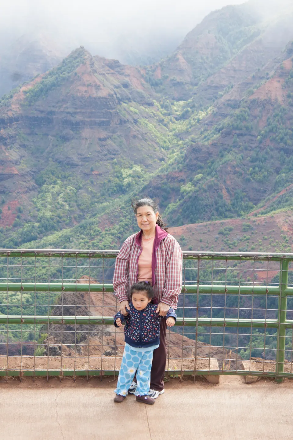 A woman in a pink cardigan stands at a railing with a small girl in front of her, misty green canyon walls behind.