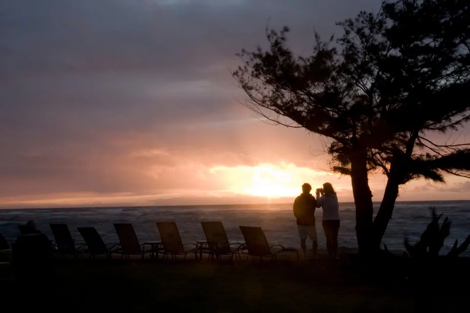 Two people stand silhouetted under a leaning tree, watching the sun break through clouds over the sea; a row of empty lounge chairs is beside them.