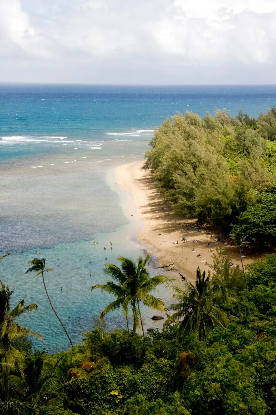 Looking down through palms and jungle at a curving strip of white sand and shallow turquoise reef water, with surf lines offshore.
