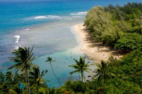 A close view of the beach curve and turquoise reef seen through palms from above.
