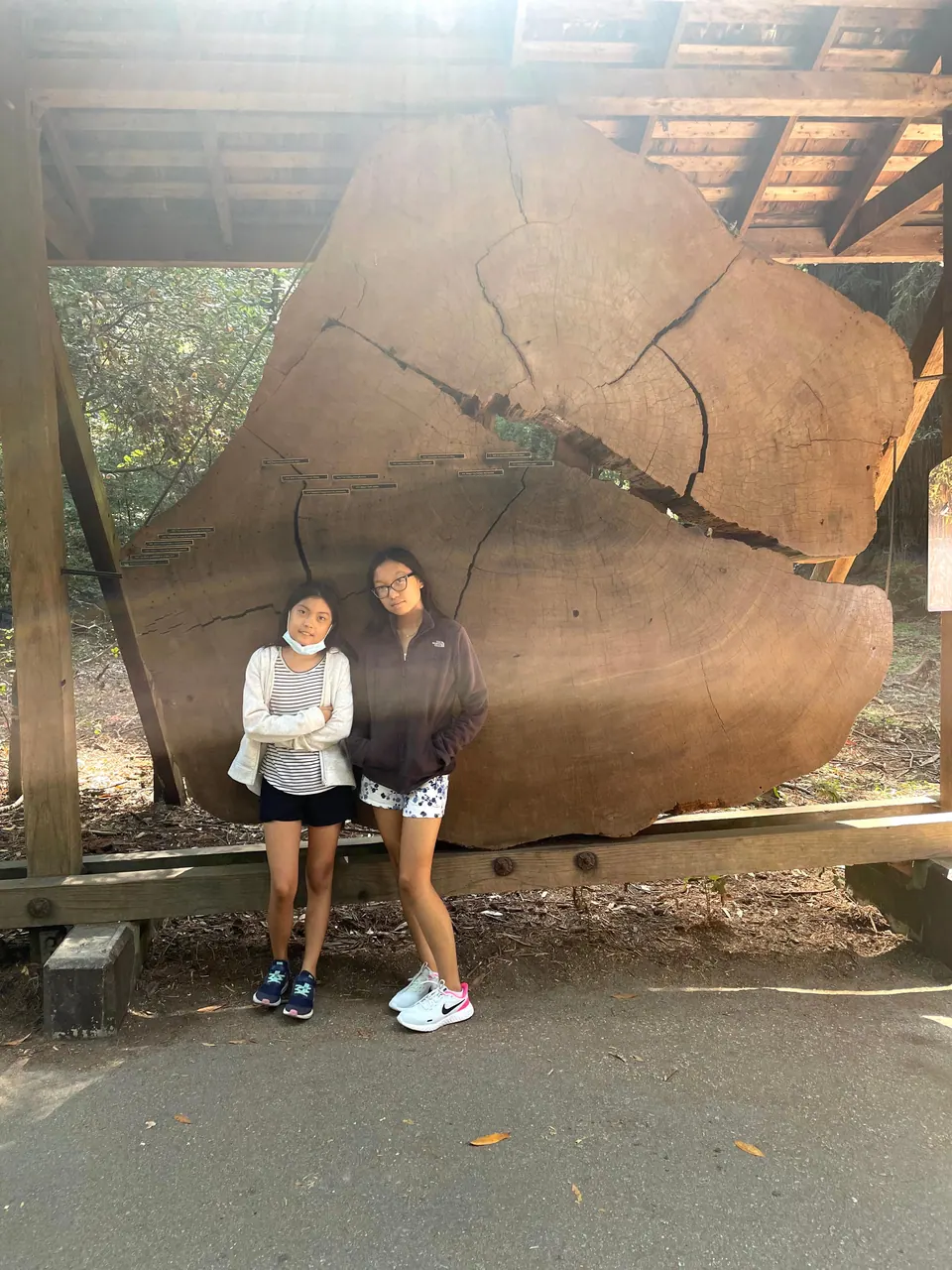 Two girls stand in front of a giant redwood cross-section slab under a wooden shelter, its cracks and tree rings filling the frame.